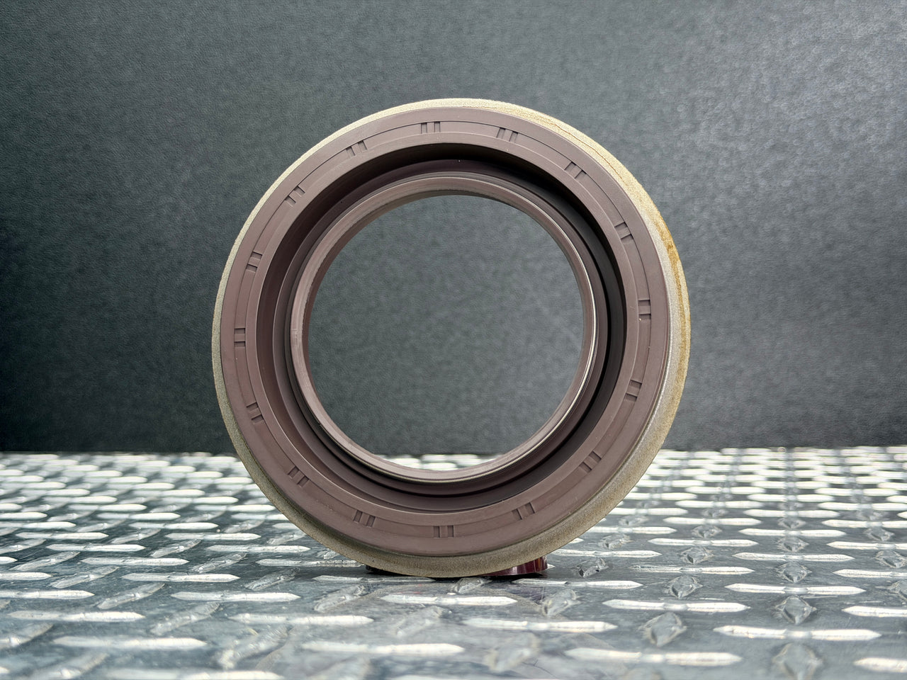 127719 Eaton 402 Front Differential Seal